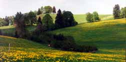 land.jpg (8969 Byte)