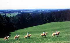 wandern.jpg (8409 Byte)